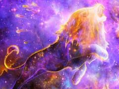 狮子男爱上你的细节是什么