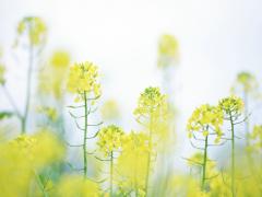 白羊座2020年爱情宿命怎么样